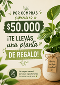 Planta de regalo