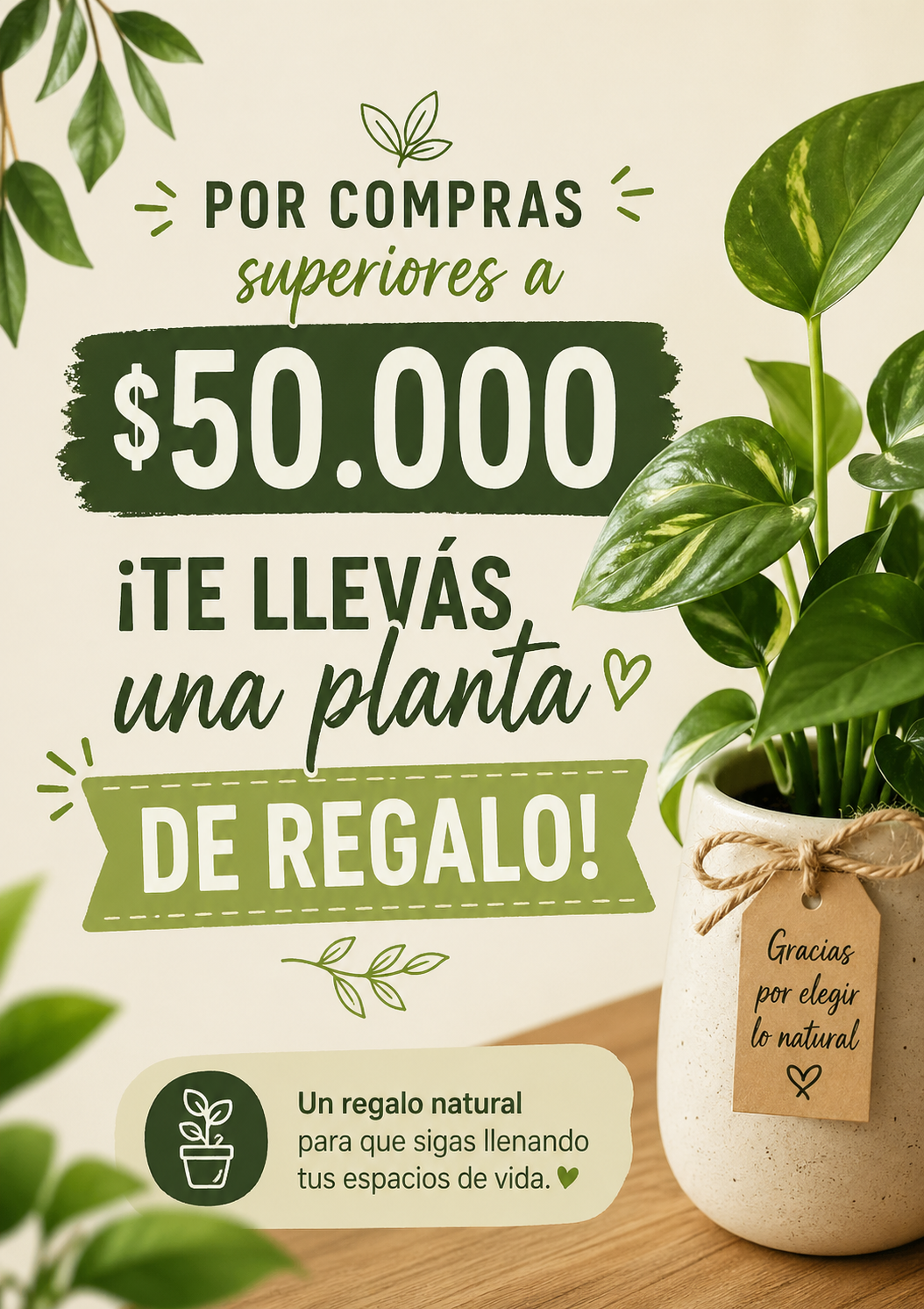 Planta de regalo