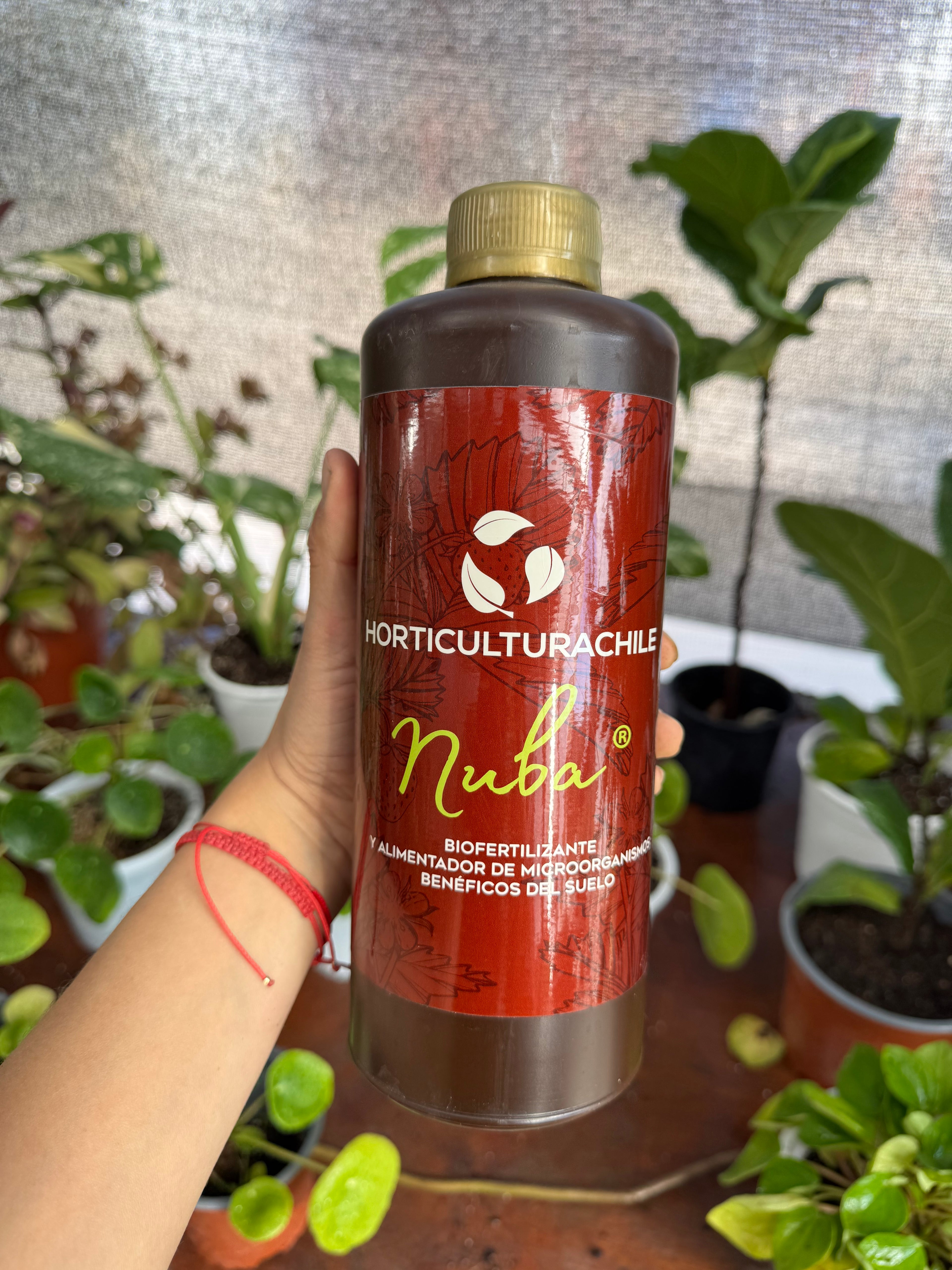 Nuba 1 L